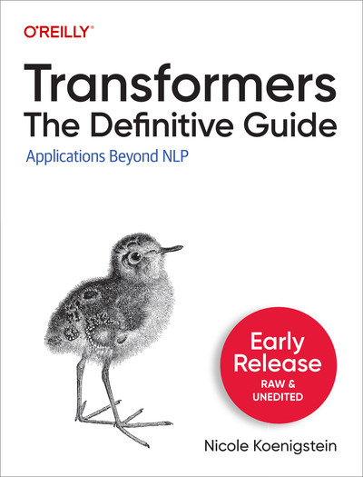 Transformers The Definitive Guide